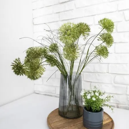 Alure Residences 1 & 24h Self Check-in, Free Parking In Front Of The Building, New Building, Terrace, Cafe With Breakfast In The Building, Next To The Aqua Park Апартаменты